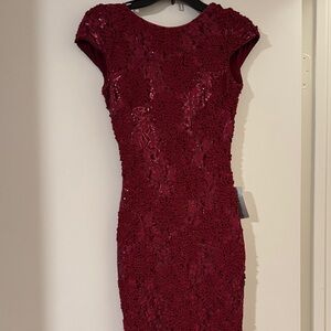 Dress the population Elegant Burgundy dress NWT size XS